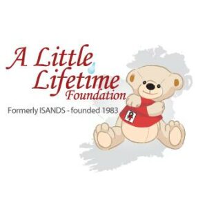 blg_2699063__little_lifetime_foundation