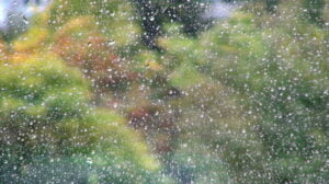 stock-footage-autumn-rainy-windy-day-on-window-rain-water-drops-on-glass-bad-weather