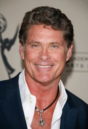 TheLiberal.ie – Our News, Your Views – Less of the Hassel and more of the Hoff: 80&#39;s TV star David Hasselhoff changes his name to David Hoff - SavedPicture-2015111318461