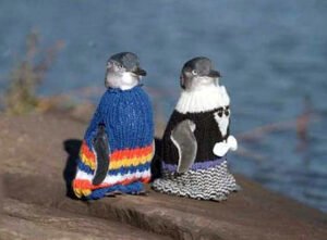 penguinsinsweaters1011