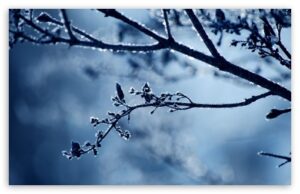 cold