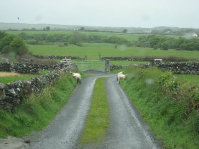 irish-road