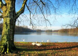 sunnydecember