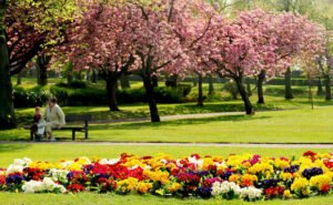spring4