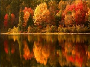 autumnday