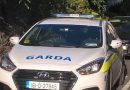 Garda investigation underway after an 18 yr-old is left in serious condition in hospital following an assault in Co Louth