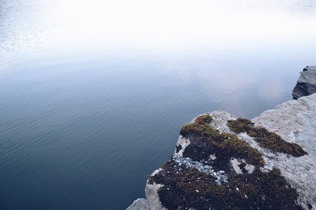 wp-1532378014809 image