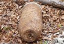 Up to 3,000 Plymouth residents evacuated after the discovery of an unexploded Second World War-era bomb
