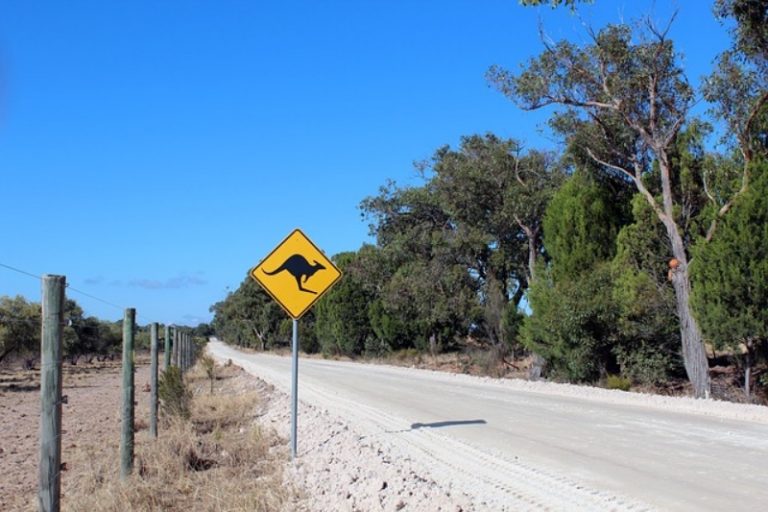 Extreme Heat Australia Temperatures Reach 49c And Are Heading To 50c Extreme Heat Australia Temperatures Reach 49c And Are Heading To 50c