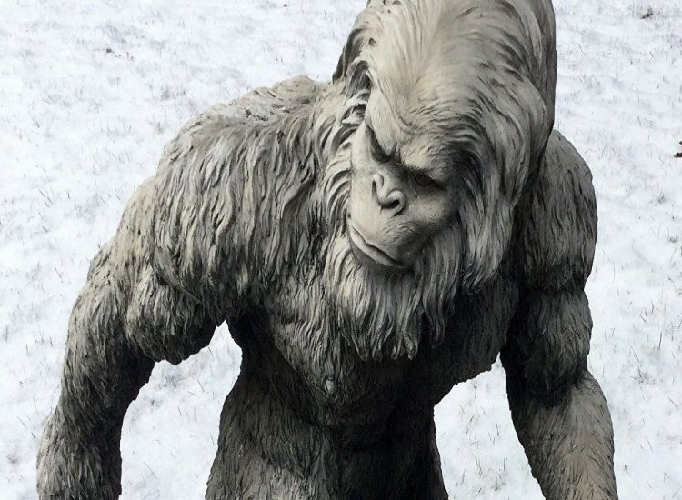 Indian army claims to have captured proof of the mythical Yeti in Nepal