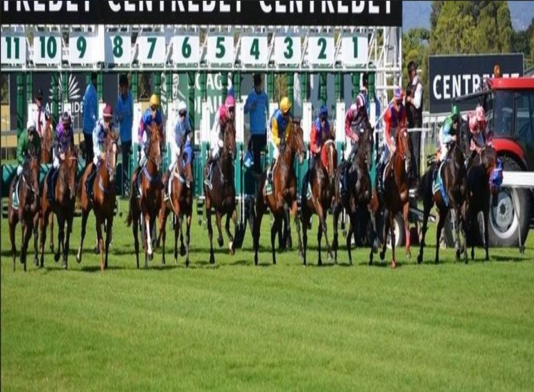 International Horse Racing Through the Years TheLiberal.ie Our News