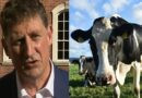 Plans to slaughter 200,000 Irish cows to meet emission reductions “not final policy” Dep of Agriculture says as critics describe it as “national self-sabotage”