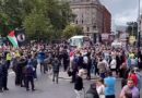 Wonder why? Belfast city centre is now ‘at tipping point amid surge of anti-social behaviour’