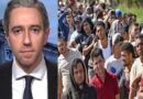 “They’re pouring in” – Record number of migrants were granted international protection in Ireland last year