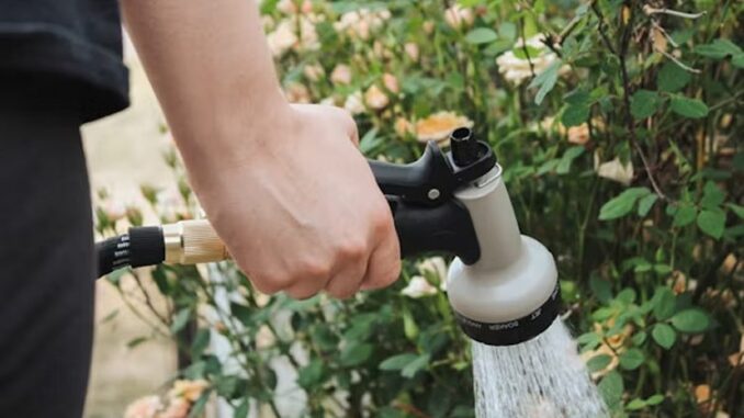 Take your hand off your hose – Hosepipe ban has been issued for six weeks across multiple counties
