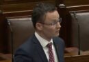 Irish social media ban for children would be ’embarrassing’ for EU, says Fine Gael’s O’Donovan
