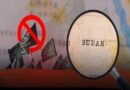 Africa Intelligence: Saudi Arabia Provides Financial Support to Burhan to Limit the Influence of the Islamic Movement